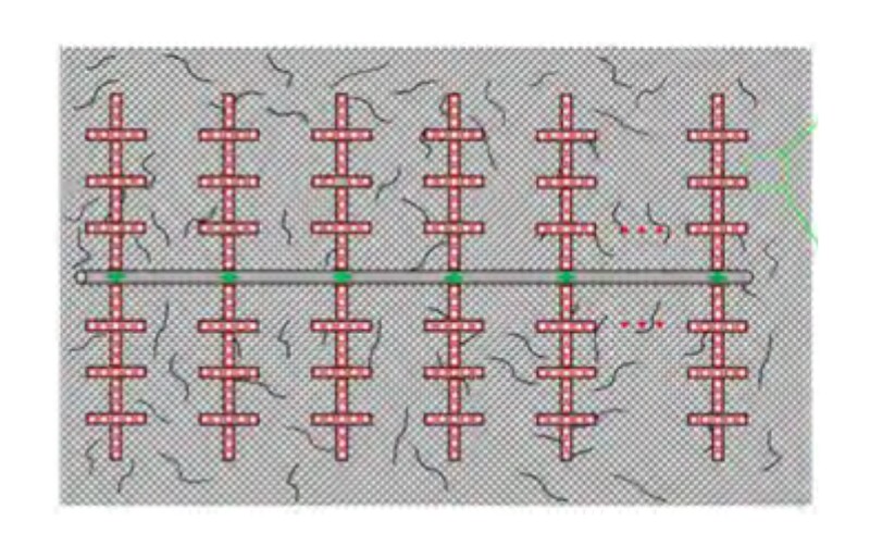 Physical model for shale gas well with complex fracture networks