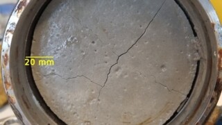 228407_Fig1.jpg