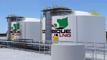 Prospective buyers in Asia of LNG from East Africa have been eyeing alternative suppliers given the more than 4- year delay in bringing major projects onstream.