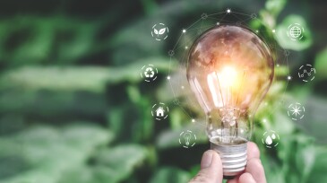 light bulb ideas on a background of blurred green trees Ecological energy efficiency energy efficiency concept