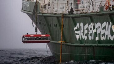 greenpeace.jpg