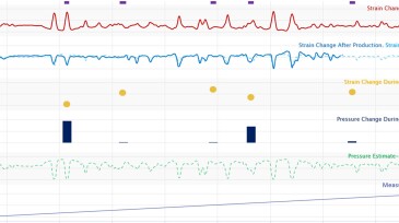 The working data for the project, including refrac strain and first production strain.