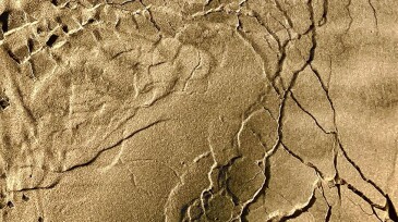 JPT_2024-05_Sand Photo.jpg