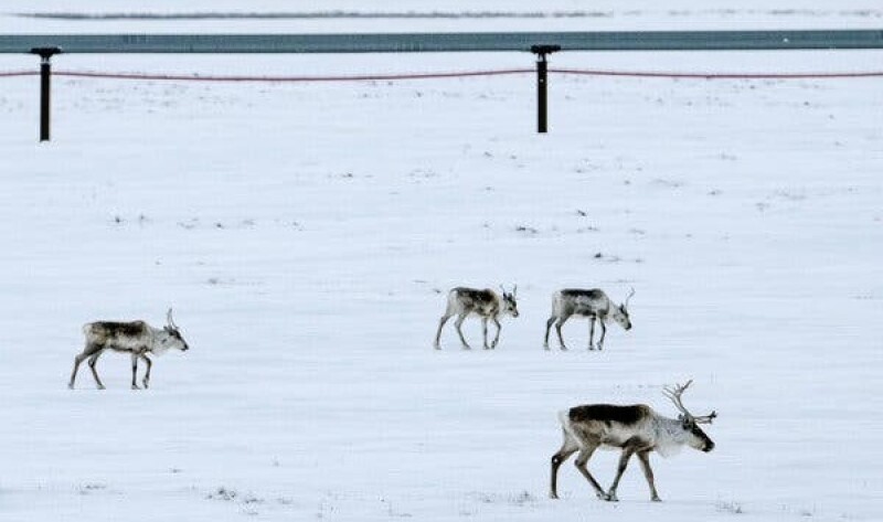 Alaska.jpg