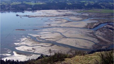 Traditional oil extraction methods