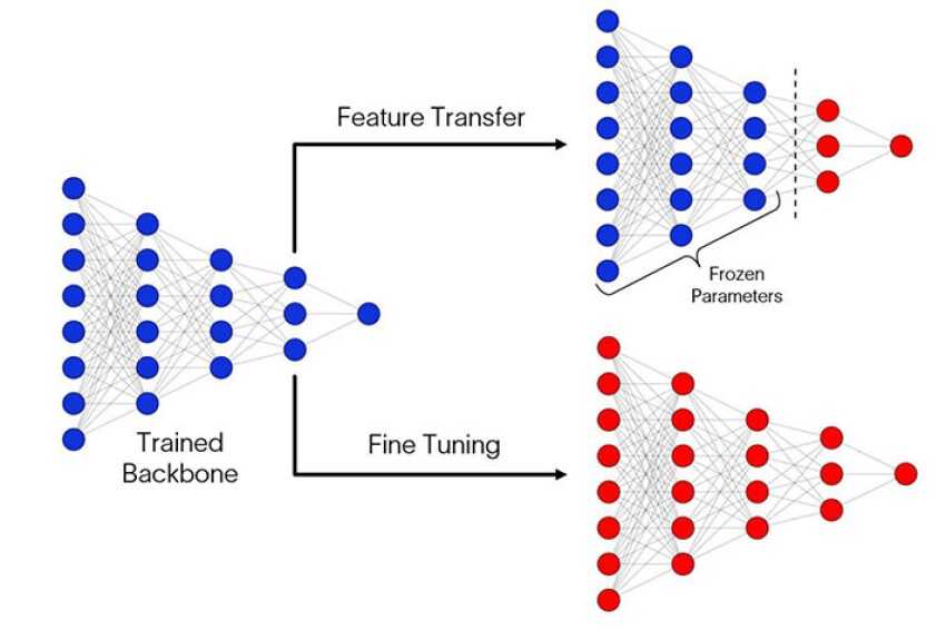 Transfer learning workflow showing the use of the physics-based trained backbone as the starting point for feature transfer (adjust only end layers and keep initial parameters frozen) and fine tuning (retrain entire network) with new data.