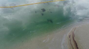 Newport beach oil spill. Amplify Energy sourced.