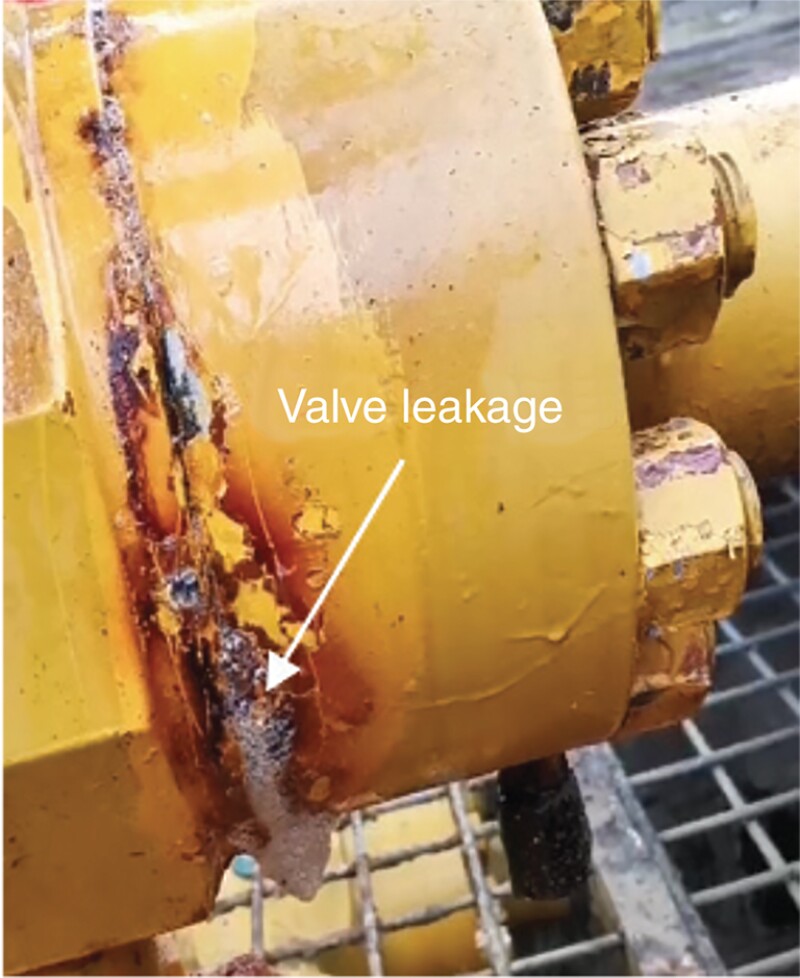 Leakage from the valve of the wellhead.