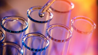 Test tube row. Concept of medical or science laboratory, liquid drop droplet with dropper in blue red tone background, close up, macro photography picture.
