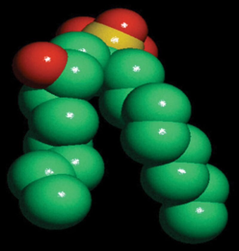 twa-2013-3-fig1academia.jpg