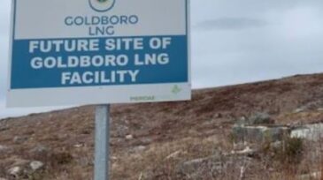 goldboro-2.jpg