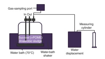 Borosilicate water-bath bioreactor.