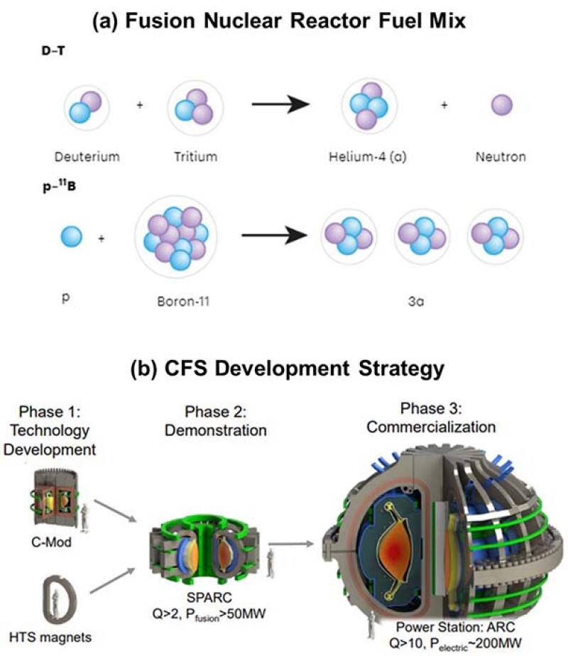 TWA_2022_07_Fusion_Nuclear_Reactor_Process_Fig.6.jpg