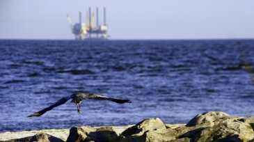 Flying Crane and Oil Rig