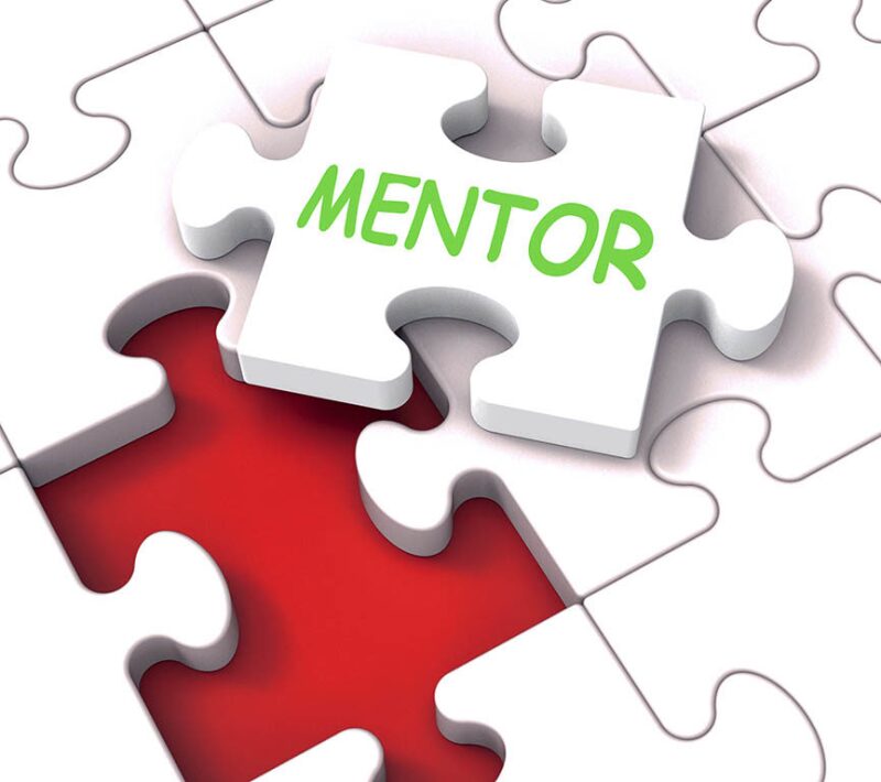 Mentor on a puzzle piece