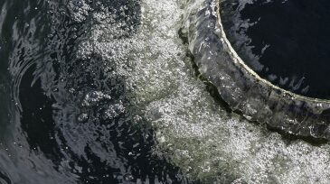 ogf-2012-04-waterhero.jpg