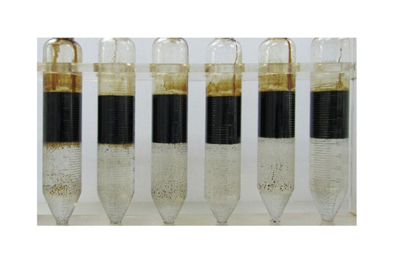 Fig. 1—Bottles at the end of the bottle-test analysis as detailed in Table 1 of the complete paper.