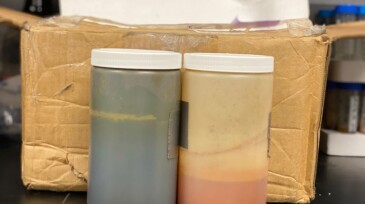 Water samples recently collected in East Texas.
