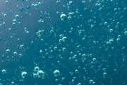 Blue air bubbles rising to the surface