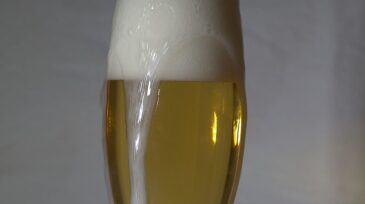 kr1a3011-1-savvy-beer-3.jpg