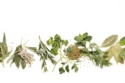 Various herbs