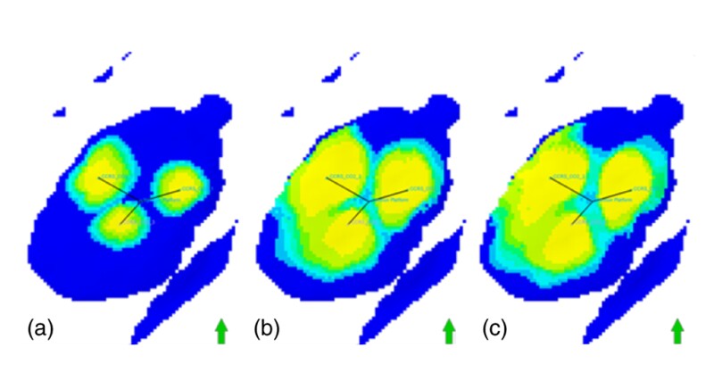 CO2 plume (yellow) migration in depleted reservoir