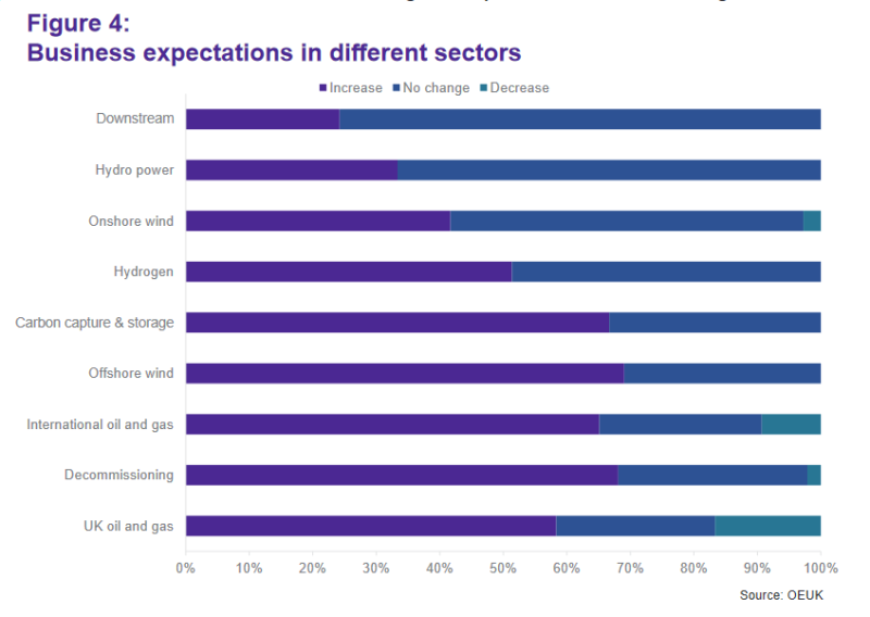 Screenshot 2023-01-24 at 06-35-28 Workforce Insight 2022 - OEUK-Workforce-Insight-2022.pdf.png