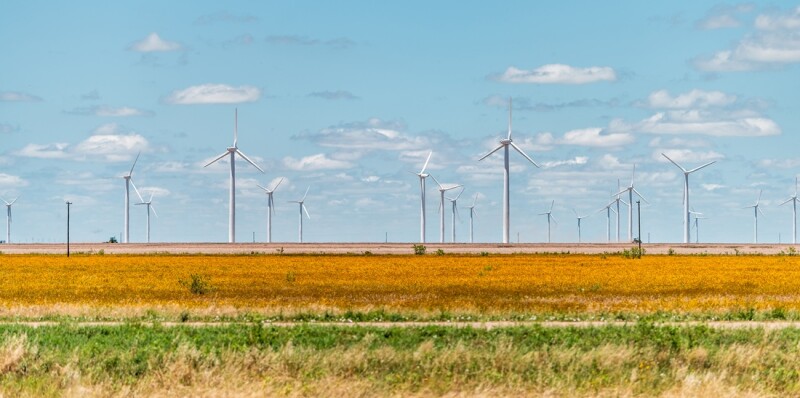 Wind turbine farm generator near Roscoe or Sweetwater Texas in USA in prairie with rows of many machines for energy