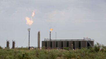 new-mexico.jpg