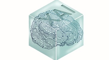 A visual representation of XAI. A clear white box model containing a digitized brain, with the letters X, A, and I etched on the top of the box.