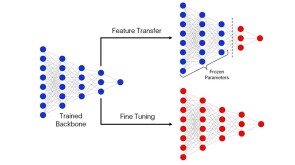 Transfer learning workflow showing the use of the physics-based trained backbone as the starting point for feature transfer (adjust only end layers and keep initial parameters frozen) and fine tuning (retrain entire network) with new data.