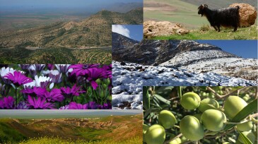 The colors and biodiversity of the KRI.