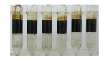 Fig. 1—Bottles at the end of the bottle-test analysis as detailed in Table 1 of the complete paper.