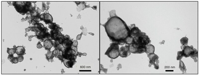 jpt-2017-01-nanotechnologyfig2.jpg