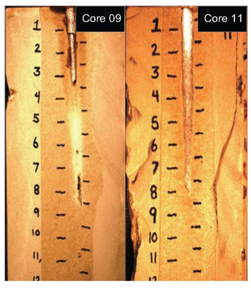 jpt-2013-9-evalestablishedfig3.jpg