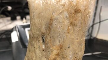 rubbery texture of this oil-well gunk