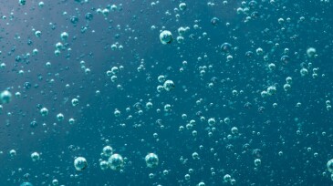 Blue air bubbles rising to the surface