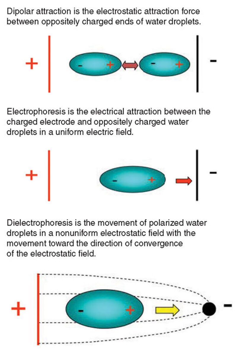 ogf-2012-10-fig2electro.jpg