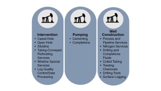 Fig. 1—Scope of services of subject company.
