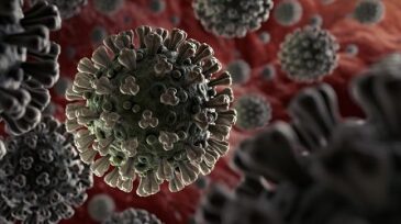 coronavirus.jpg