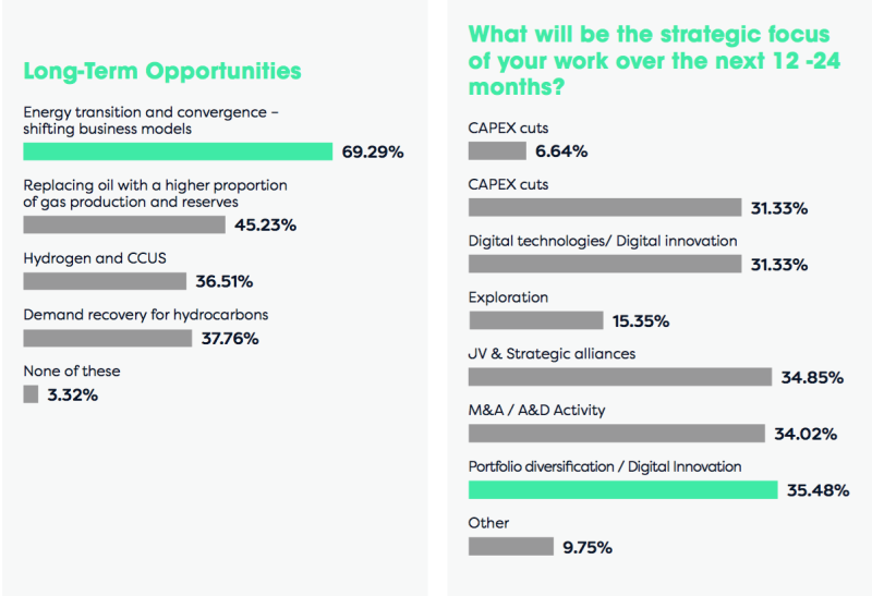 Energy Council 2021 Future Outlook Survey Report