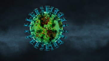 Coronavirus Global Pandemic