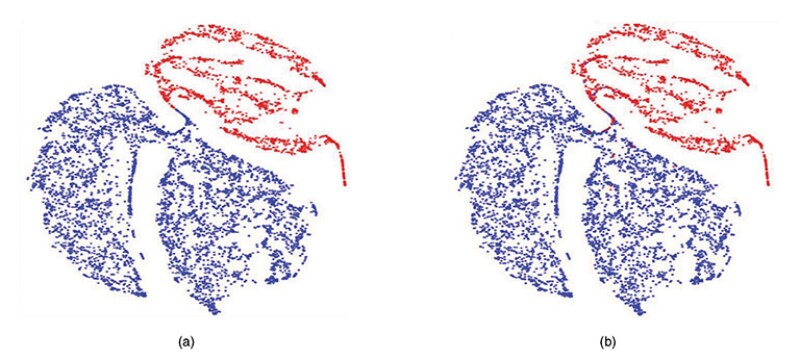 t-SNE representation