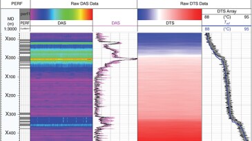 Raw DAS and DTS data displayed in waterfall and line-plot format alongside perforations.