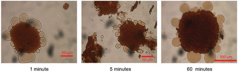 jpt-2017-01-nanotechnologyfig4.jpg