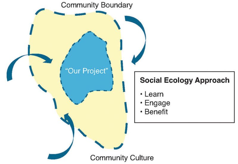 ogf-2013-08-fig2culture.jpg