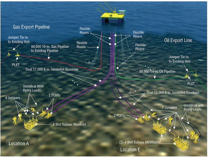 Who Dat Project—Deepwater Subsea Production of Light and Heavy Oil