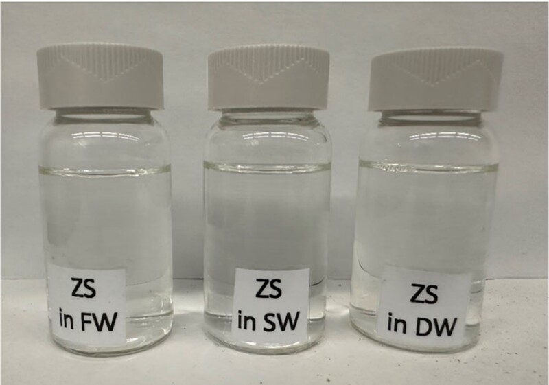 Fig. 2—Solubility picture of the described ZS. FW = distilled deionized water, SW = seawater, and DW = reservoir brine.