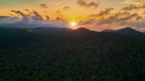Guyana - Sunset overlooking the Amazon rainforest