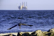 Flying Crane and Oil Rig